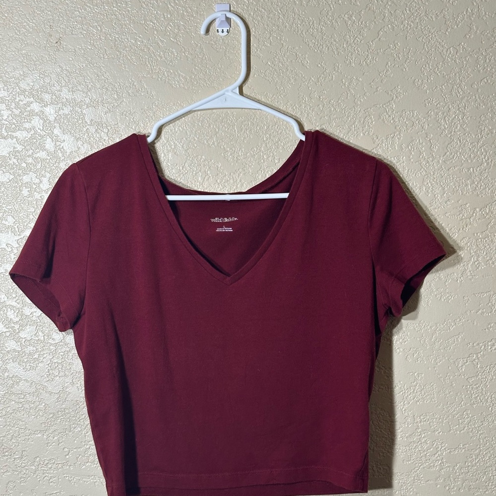 Wild Fable Red Crop Fitted Short Sleeve Tee